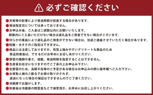 A322 アッキーファームの旬の野菜詰合せ福袋 （野菜3種） _イメージ5