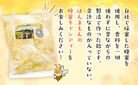 ほんまもん国産蜂蜜キャンディー 村上養蜂 和歌山 はちみつ