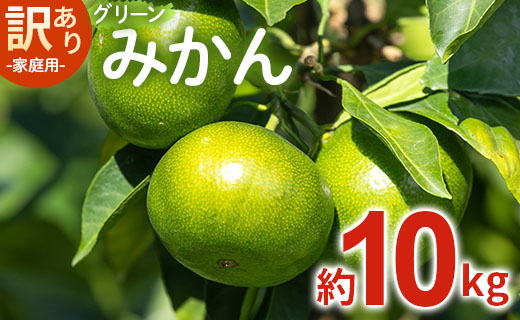 家庭用 訳あり グリーンみかん 約10kg 家庭用 フルーツ みかん 柑橘 be-0069