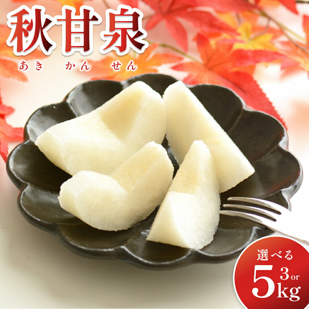 【ふるさと納税】【先行予約】先行予約 秋甘泉（あきかんせん）3～5kg｜鳥取 果物 くだもの フルーツ なし 梨 和梨 秋甘泉 旬 選べる内容量 3kg 5kg 数量限定