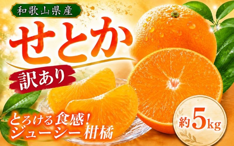 
                  【訳あり・ご家庭用】紀州和歌山産 せとか 約5kg【先行予約】 せとか みかん ミカン 柑橘 フルーツ 果物 くだもの【2027年2月中旬頃〜2027年3月中旬頃発送予定（お届け日指定不可）】
                