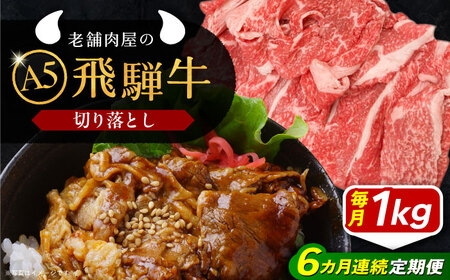 【6回定期便】 飛騨牛 切り落とし肉 A5ランク 1kg 和牛 国産 霜降り 恵那市 / 岩島屋[AUAJ034]