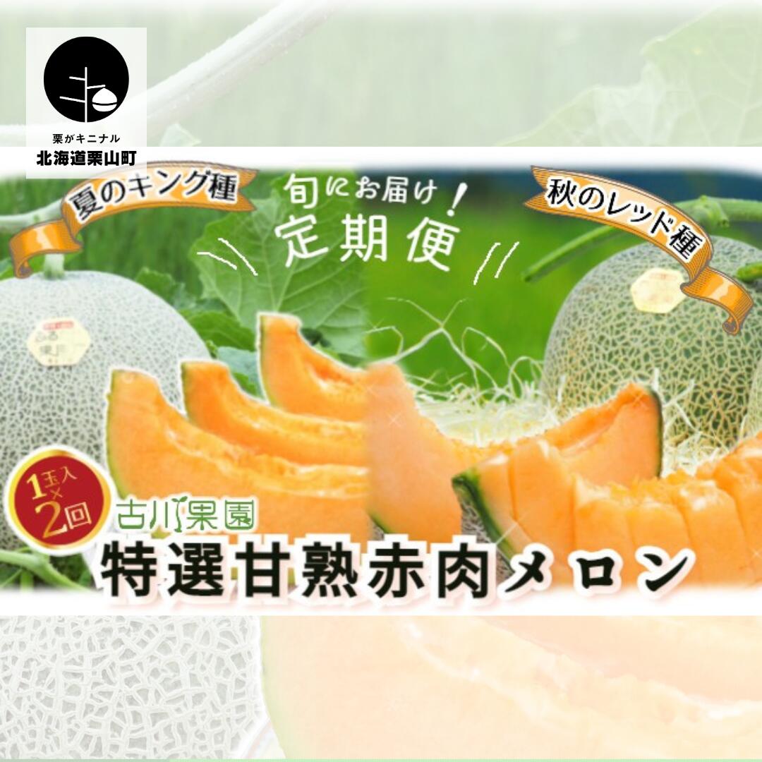 【ふるさと納税】【先行予約】「特選甘熟赤肉メロン　キング＆レッド定期便」