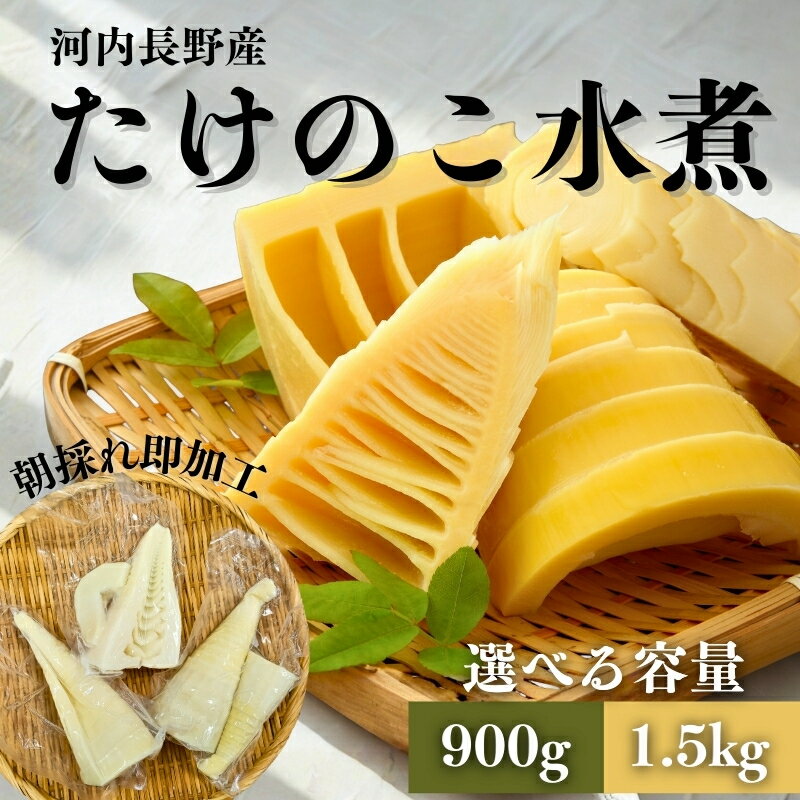 【ふるさと納税】【2026年5月以降順次発送】国産 たけのこ 水煮 ＜ 内容量をお選びください ＞ 朝採れを即加工 タケノコ 竹の子 筍 小分け 長期保存 真空パック たけのこご飯 煮物｜こだわりの逸品 地域特産品 ギフト 自分用 人気 おすすめ
