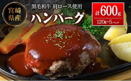 宮崎県産黒毛和牛肩ロース使用 ハンバーグ 計600g（1個120g×5パック）冷凍 小分け 国産【A342】