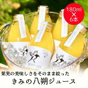 【ふるさと納税】きみの八朔ジュース 180mL×6本 《 レビューキャンペーン 実施中 ! 》/ 果汁 ジュース オレンジジュース ドリンク セット 有機 無添加 100%