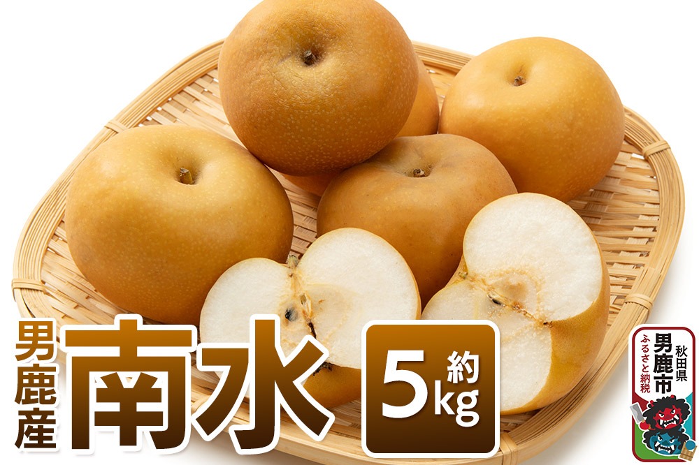 《先行受付》南水 約5kg 10月中旬～11月中旬発送 梨 旬の果物 ギフト 秋田県 男鹿市 男鹿ファーム直売所|23_ofc-040501