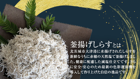 大津港水揚げの 釜揚げしらす 500g (250g×2パック×1箱) (茨城県共通返礼品：北茨城市) しらす しらす丼 国内 釜揚げ 新鮮 シラス 海鮮 子ども カルシウム 減塩