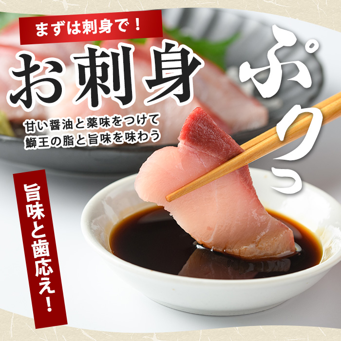 ＼年始発送 先行予約／＜数量限定＞【2027年1月7日発送】『旅サラダ』で紹介ぶりの王様「 鰤王 」 フィレ 半身 (約1.2〜1.5kg・フィレ1枚) 産地直送 新鮮 旨味が抜群の 長島町 特産品 