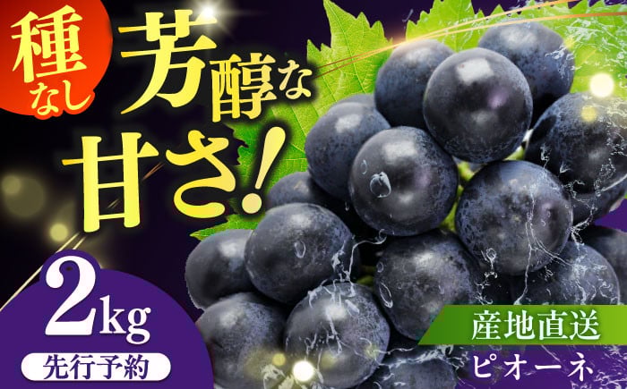 
                  [伊万里産]山和農園の種なしピオーネ約2kg（3～4房）
                