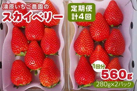[先行予約] [4ヶ月連続定期便] スカイベリー定期便 (毎月お届け 計4回) 澳原いちご農園 | いちご イチゴ 苺 フルーツ 果物 産地直送 栃木県産