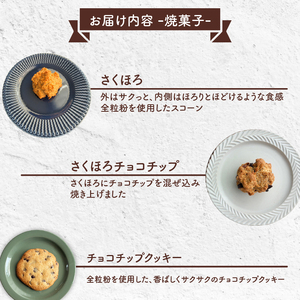 パン 焼き菓子 詰め合わせ 10個 天然酵母 冷凍パン