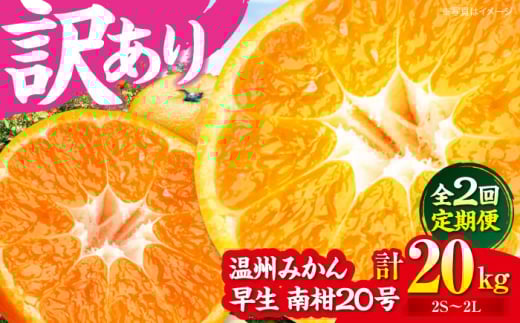 【全2回定期便】【11月中旬と12月中旬の2回発送】【訳あり】 温州みかん 10kg 柑橘 愛媛県大洲市/カームシトラス[AGBW008] 先行予約 みかん ミカン 蜜柑 果物 くだもの フルーツ 愛媛県産 大洲市産 産地直送 おすすめ 人気 お取り寄せ 送料無料 贈答 ギフト