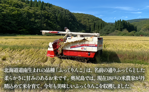 奥尻産米「ふっくりんこ」15kg入り（定期便 全６回） OKUI005