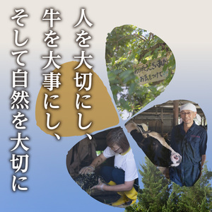 【木津川市産】くろーばーみるくとよーぐるとセット② 生乳100％ 牛乳 ミルク 牛乳 ミルク ヨーグルト ノンホモ 牛乳 ヨーグルト 牛乳 029-08