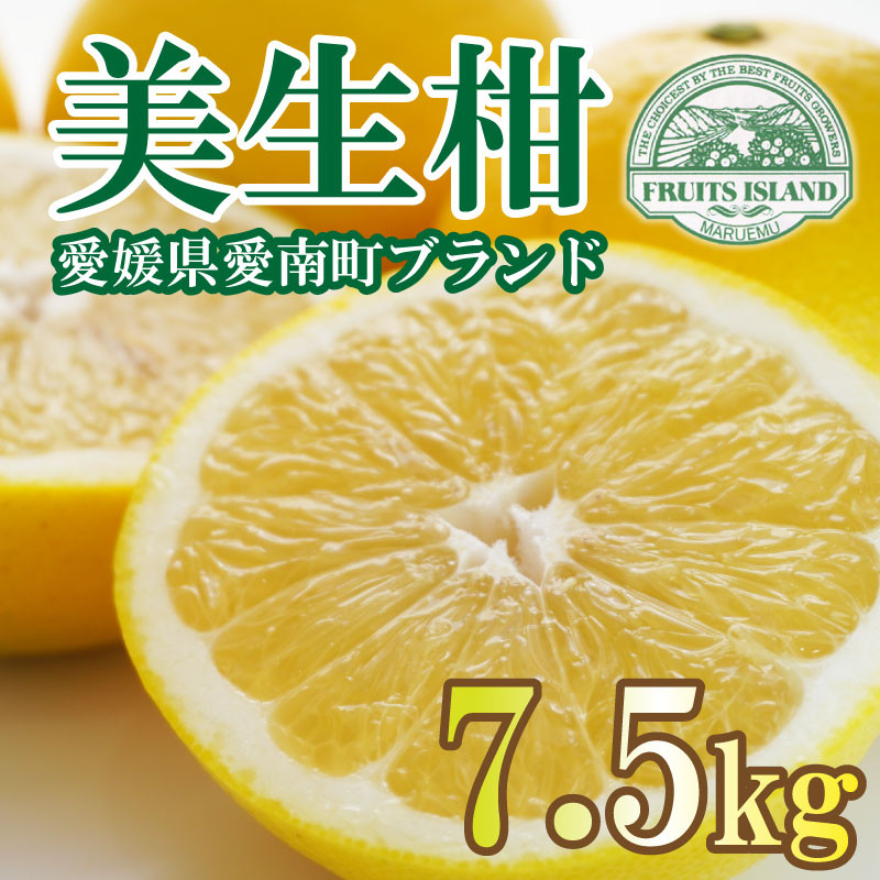 
            先行予約 贈答用 美生柑 みしょうかん 約 7.5kg 河内晩柑 贈答 ギフト プレゼント 正規品 ばんかん フルーツ 果物 果実 くだもの 夏文旦 晩生柑 厳選 愛媛 みかん 蜜柑 mikan 愛南 ご当地 ブランド 母の日 国産 産地 直送 ゼリー マーマレード デザート フルーツアイランド マルエム直販 愛媛県 愛南町
          