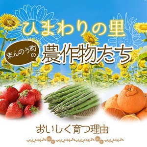 ＜2024年5月上旬以降順次発送予定＞香川県産 厳選大玉生にんにく(約5kg) にんにく ニンニク ガーリック 果物 フルーツ 産地直送 【man069】【Aglio nero】