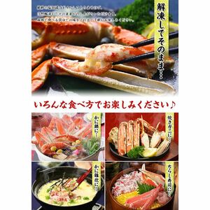 ［順次発送］ボイルずわいがに足 総重量3kg（約14肩前後）【数量限定】【甲羅組 海鮮 ズワイガニ ずわい蟹 蟹 カニ カニ足 かに脚 足 ボイル 茹でガニ カニ鍋 蟹鍋 鍋】 [024-b031]