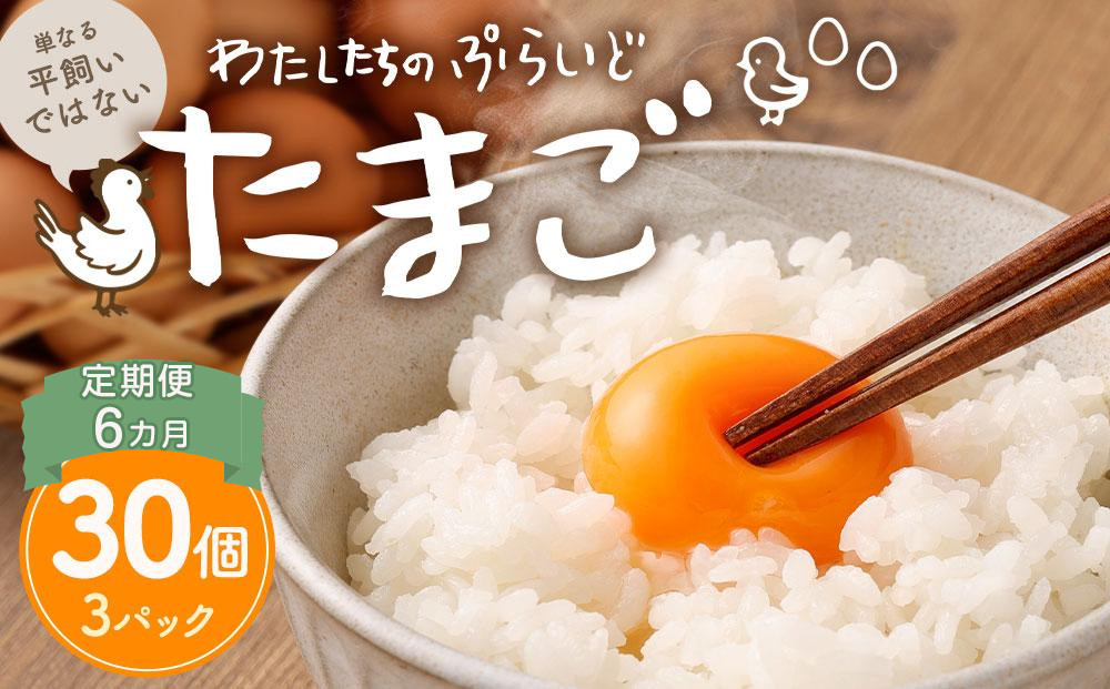 【定期便：6か月】【食べチョクアワード2025 畜産部門 1位の日本一のたまご】単なる平飼いではない究極の卵『わたしたちのぷらいどたまご』3パック（30個）セット 141305_GX03