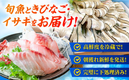 【全6回定期便】超速冷凍鮮魚7種（鮮魚5種+冷凍きびなご200g+焼物用いさき2尾）五島市/金沢鮮魚[PEP070]