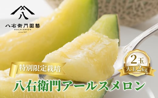  特別限定栽培 八右衛門アールスメロン 大玉2kg 2玉 （マスクメロン） 先行予約 メロン めろん 箱詰め フルーツ 果物 愛知県 田原市 6月 7月