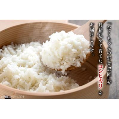 ふるさと納税 日向市 宮崎県産 コシヒカリ 新米 白米 10kg【令和7年産】 |  | 02