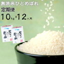 【ふるさと納税】新米 ひとめぼれ【定期便 12ヶ月】 無洗米 令和6年産 10kg 白米 減農薬栽培 農家直送 岩手県 花巻産 ふるさと納税 米 定期便