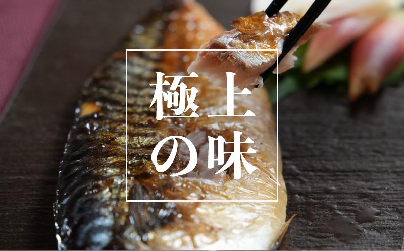 
            寒鯖 一夜干し 12枚 干物 ひもの サバ 鯖 塩鯖 塩さば 鯖フィーレ 魚 海鮮 魚貝 魚介 おかず 酒 のあて おつまみ 小分け 個別冷凍 弁当 塩 惣菜 食品 冷凍食品 お取り寄せ グルメ ギフト 食品 贈り物 贈答 ふるさと納税 送料無料 ふるさと納税鯖 千葉県 銚子市 甲印小西商店
          