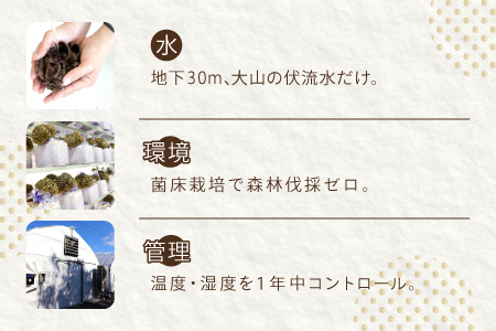 HO07：たもぎ茸の万脳だし １袋