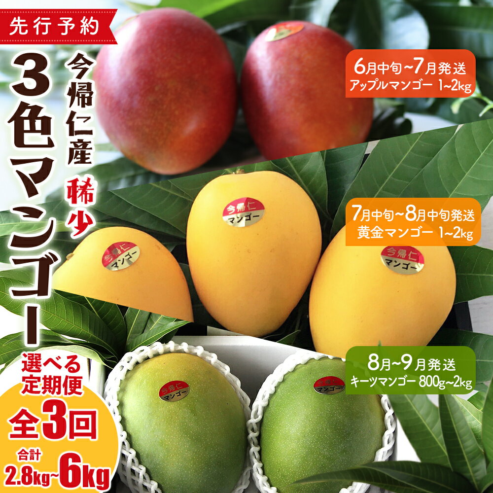 【ふるさと納税】【定期便】稀少3色マンゴー食べ比べセット（赤・黄・緑）【2026年　赤：6月中旬～7月頃　黄：7月中旬～8月中旬頃　緑：8月～9月頃発送】生産者直送　先行予約