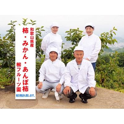 ふるさと納税 橋本市 柳フルーツ園の富有柿 |  | 01