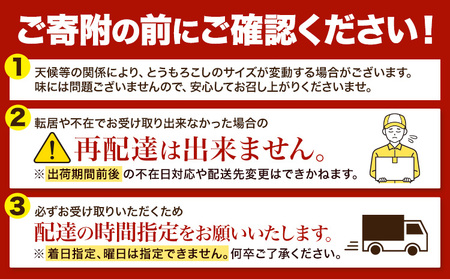  とうもろこし 「 ゴールドラッシュ 」 5kg 以上 11～13本  名寄　とうもろこし