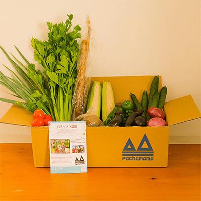 ふるさと納税 下妻市 【毎月定期便】農園自慢の情熱野菜セット7品(種類おまかせ)全4回 |  | 01