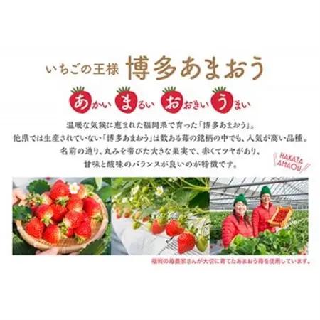 博多あまおうのこだわりアイス【AH-AB10N】【配送不可地域：離島】【1528690】