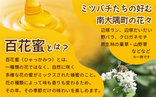 【数量限定】【先行予約・2025年8月発送】日本ミツバチのはちみつ　580g