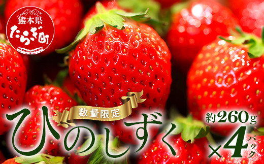 
【先行予約】希少！ 熊本県産 いちご【ひのしずく】約260g×4パック 2025年1月～発送 ≪ 苺 イチゴ 数量限定 坂下農園 イチゴ 1040g 苺 フルーツ 果物 春 名産 熊本 多良木町 ビタミン 旬 先行予約 ≫103-0006
