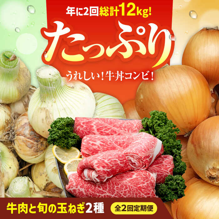 【ふるさと納税】【2026年発送分先行予約！】【2回定期便】牛丼コンビ！牛肉と玉ねぎの定期便 / 切り落とし 玉葱 新玉 早生 晩生 牛丼 すき焼き 佐賀県 白石町 [IZZ031]