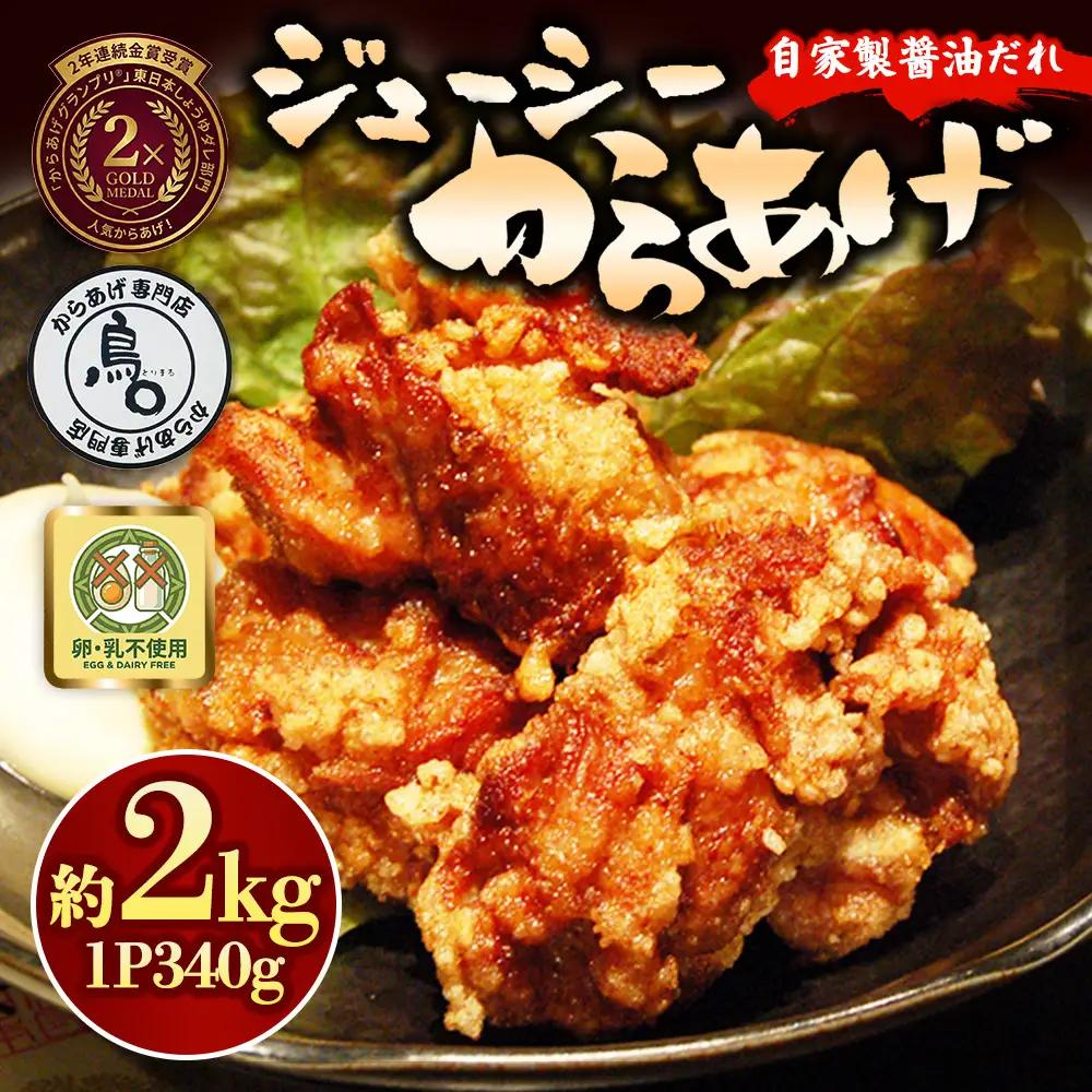 ジューシーからあげ 自家製醤油だれ 6パック | 唐揚げ からあげ しょうゆ 醤油 からあげ 専門店 鳥〇 とりまる からあげグランプリ 金賞受賞 茨城県 土浦市 ※離島への配送不可