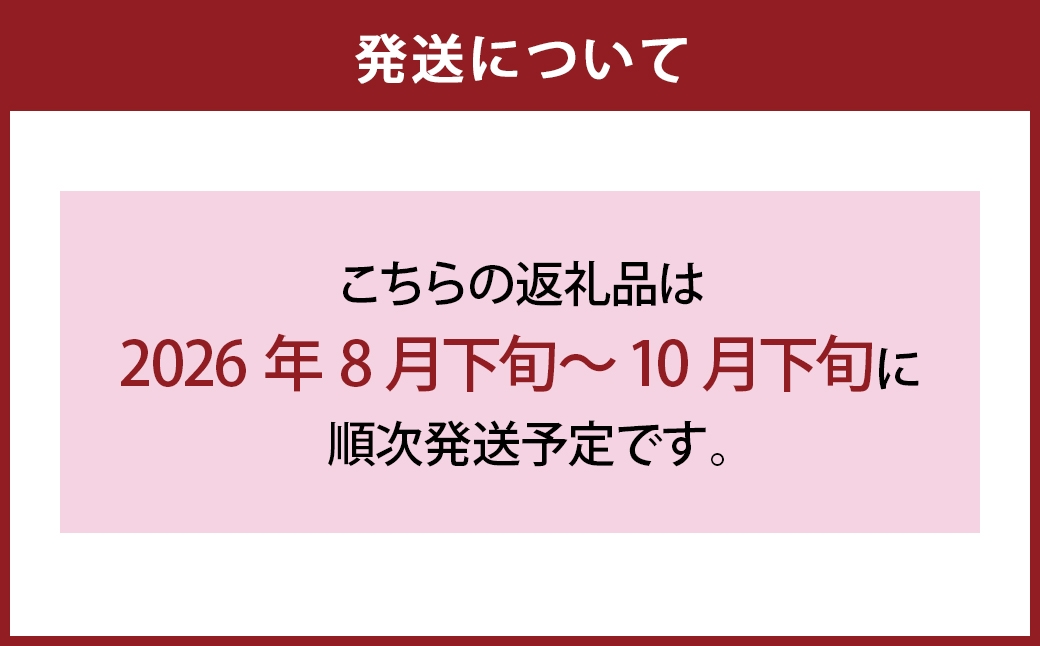 シャインマスカット晴王2房化粧箱入り（合計約1.1kg）
