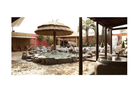 No.238 刈谷ハイウェイオアシス「天然温泉かきつばた」入泉券4枚（タオル付）