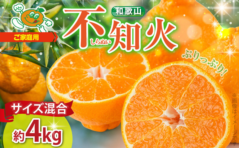 
            ZJ6094_【2026年先行予約】不知火 オレンジ みかん 訳あり 家庭用 4kg サイズ 混合 柑橘 果物 ジューシー ぷりぷり 果肉 果汁 果実 フルーツ ビタミン コク 上品 甘味 濃厚 酸味 レジャー 産地直送 国産 太千青果物 お取り寄せ お取り寄せフルーツ 和歌山県 湯浅町 送料無料
          