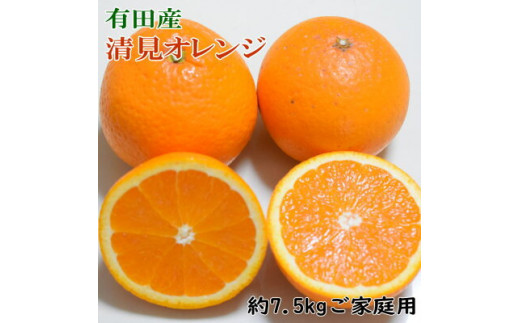 
ZD6386n_【先行予約】有田産 清見 オレンジ 【訳あり 家庭用】 約7.5kg（サイズおまかせまたは混合）
