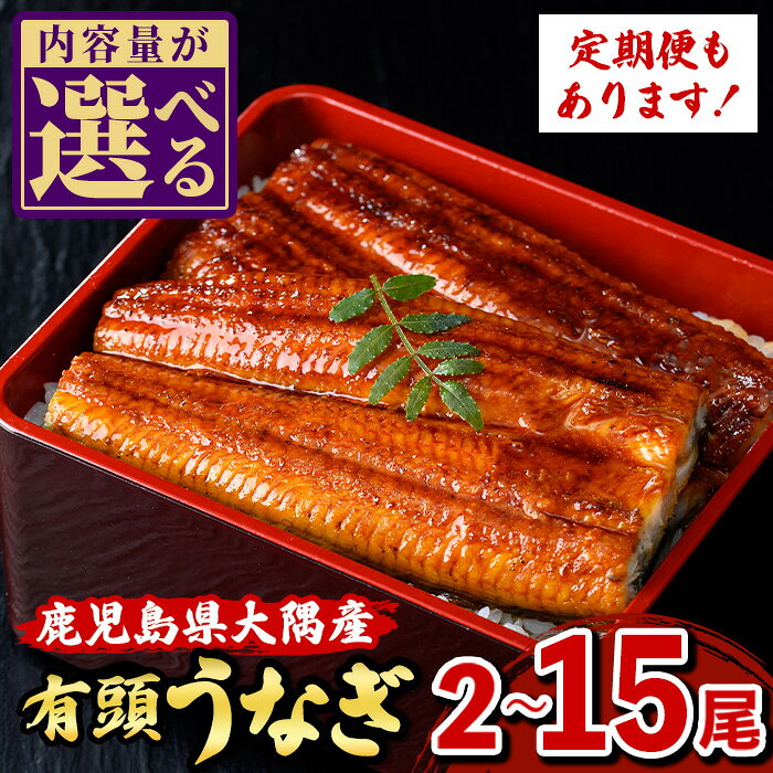 【ふるさと納税】＜容量・お届け回数が選べる！＞うなぎ蒲焼・大(有頭)( 2尾 〜 15尾 )(タレ・山椒付)鹿児島 国産 鰻 うなぎ ウナギ 蒲焼き うな丼 うな重 ひつまぶし 土用の丑の日 真空パック 贈答 ギフト 定期便 全3回 毎月発送 【一般社団法人きもつき宇宙協議会】