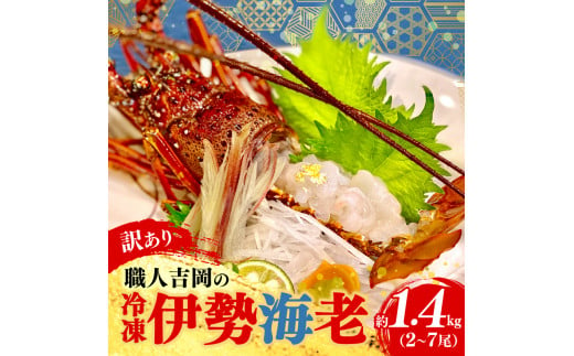 
【訳あり】 職人吉岡 の 冷凍 伊勢海老 約 1.4kg 2 〜 7尾 ( サイズ混合 えび エビ いせえび 高級 鮮魚 イセエビ 海鮮 魚介 刺身 焼き物 汁物 ギフト 贈答 贈り物 祝い 歳暮 中元 高知 天然 海の幸 高知県 須崎市 ) IKY045
