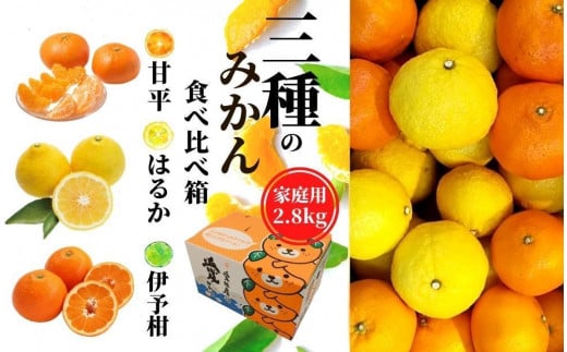 【三種のみかん食べ比べ箱】甘平・はるか・宮内伊予柑 （家庭用）約2.8kg　＜2025年2月頃発送＞ 食べくらべ 愛媛 みかん 詰め合わせ セット 先行予約 蜜柑 柑橘 果物 くだもの フルーツ お取り寄せ グルメ 期間限定 数量限定 人気 おすすめ 愛媛県 松山市