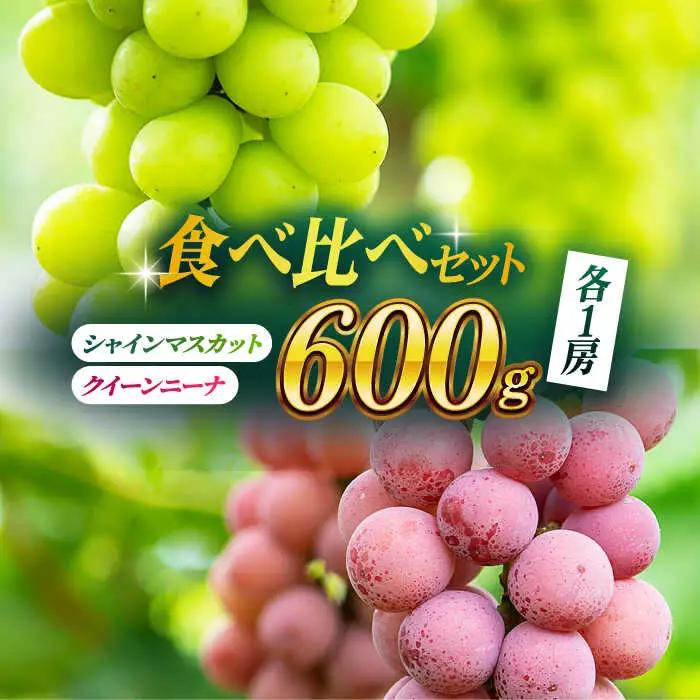 【先行予約】【数量限定】食べ比べセット 約600g（シャインマスカット ＆ クイーンニーナ 各一房）【合同会社 社方園】[ZBZ036]
