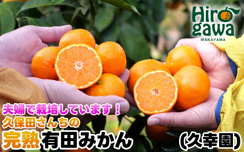 完熟 有田 みかん サイズ混合 7kg 久幸園 / 温州みかん 有田みかん 甘い 家庭用 和歌山 柑橘 ※11月〜順次発送予定【hsk004-r-7B】