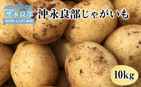 【先行予約】私も惚れたホクホク食感!まるとよ農産の「沖永良部じゃがいも」10キロ!【1月下旬～5月下旬】