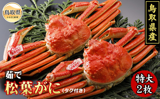 鳥取県産　浜茹で松葉がに　特大2枚（タグ付）【期間限定】_T2600092 ふるさと納税 鳥取 かに カニ 蟹 海鮮 海の幸 冬の味覚 数量限定