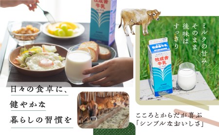 明治30年創業の牛乳屋 牧成舎の低温殺菌牛乳 1L×6本[A0086w] 